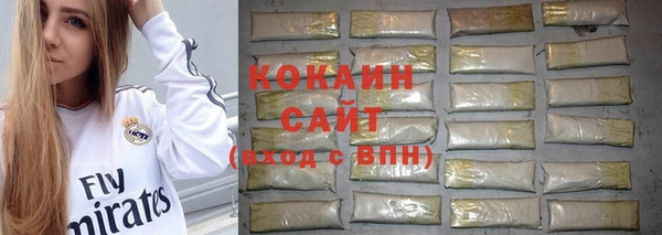 прущие грибы Новозыбков