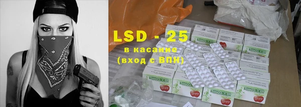 прущие грибы Новозыбков