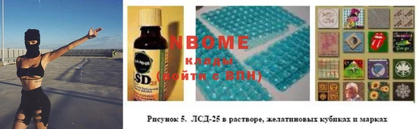 прущие грибы Новозыбков