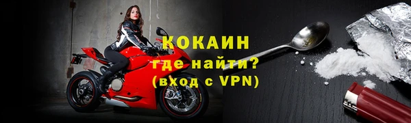 прущие грибы Новозыбков
