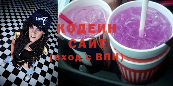 прущие грибы Новозыбков