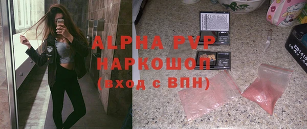 прущие грибы Новозыбков