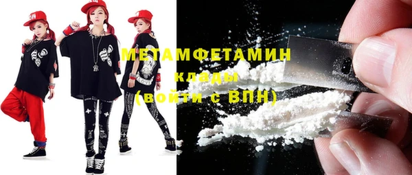 прущие грибы Новозыбков