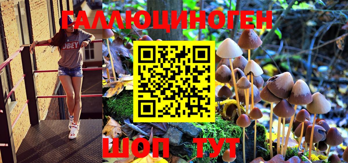 где найти наркотики  Волоколамск  Галлюциногенные грибы Magic Shrooms 